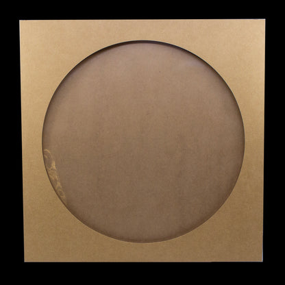 Picture Disc Jacket w/ Built-In Clear Inner Sleeve